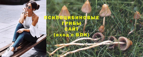 бошки Михайлов