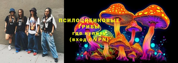 бошки Михайлов
