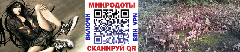 магазин продажи наркотиков Перевоз Псилоцибиновые грибы ЛСД